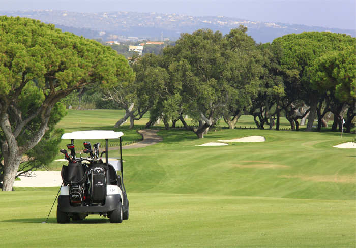 golden triangle with golf tour